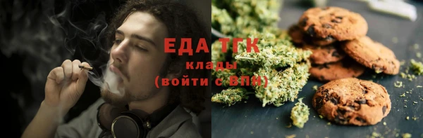 индика Абинск
