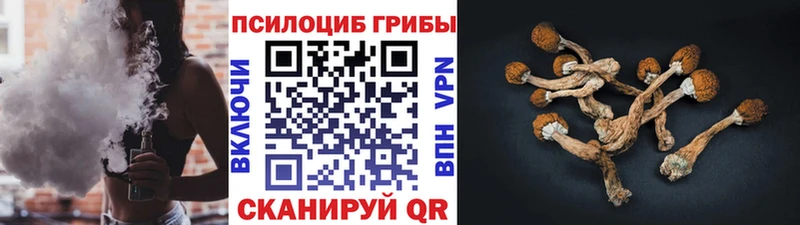 блэк спрут ссылка Александров Псилоцибиновые грибы ЛСД