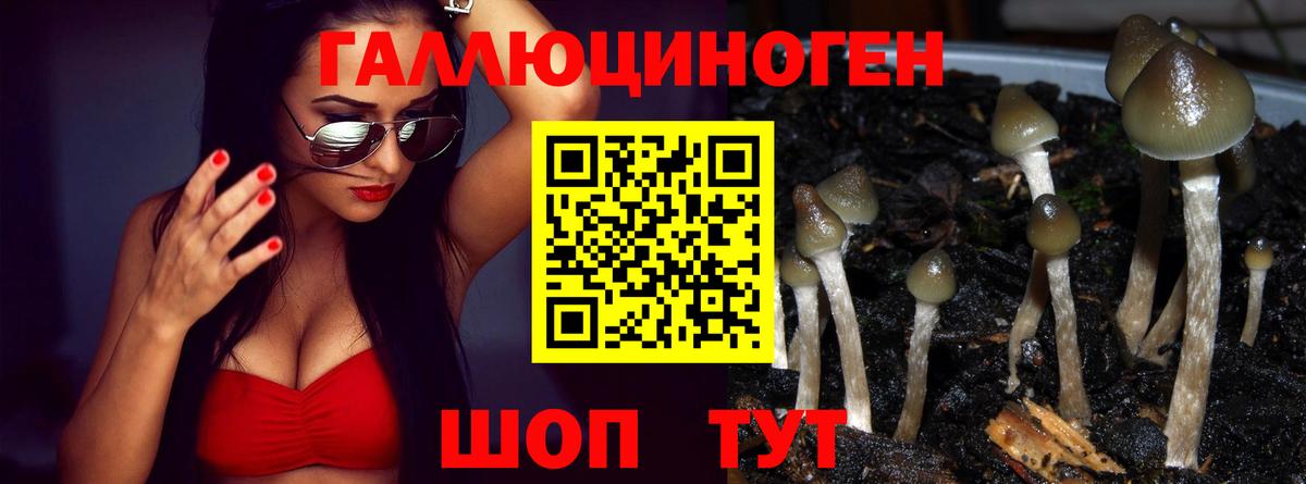 Галлюциногенные грибы ЛСД  Вход с VPN  Александров 